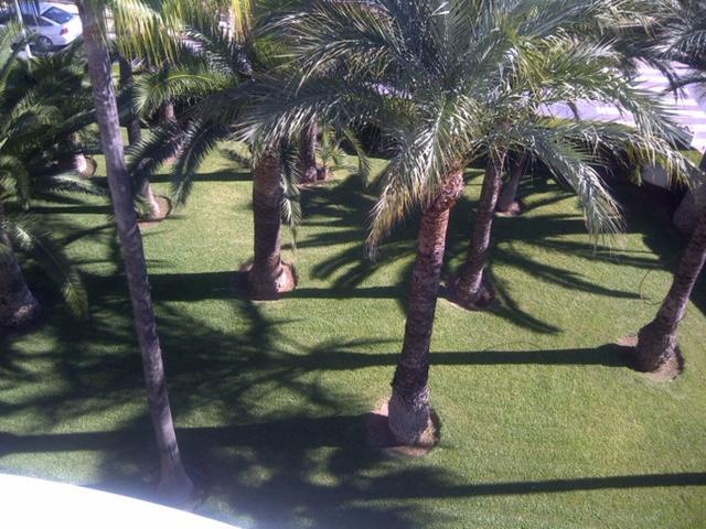 Apartment Martinez Casablanca Alcoceber Екстер'єр фото